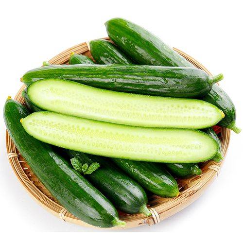水果小黄瓜  450g-500g/份