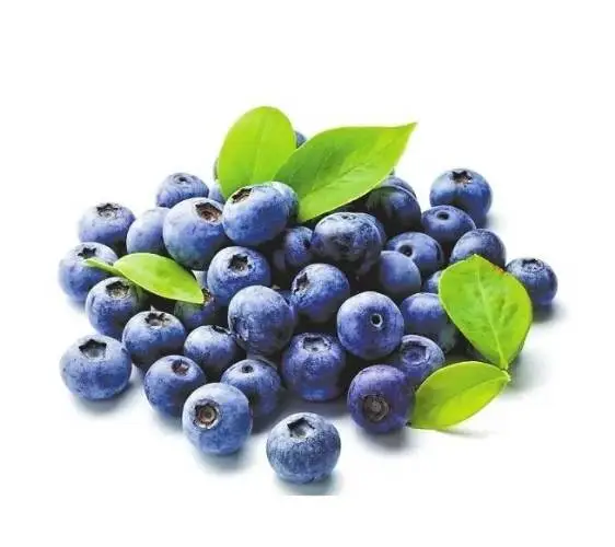 蓝莓100g