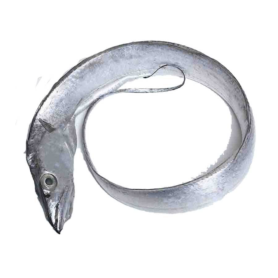 冰冻带鱼  4条约450g-500g/份