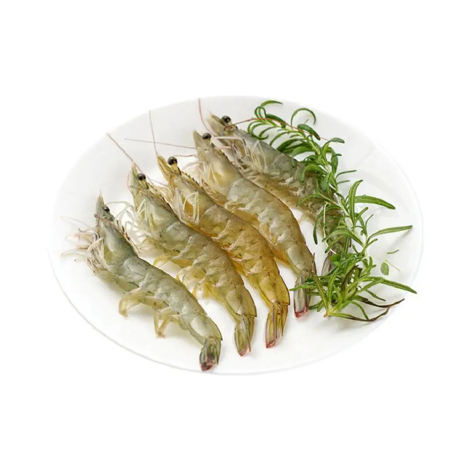 鲜活中号活明虾  250g/份     不挑捞捞去