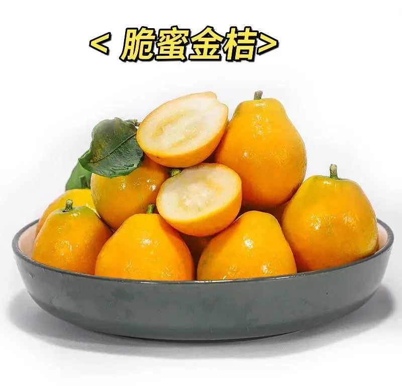 脆蜜金柑小果450g-500g/份