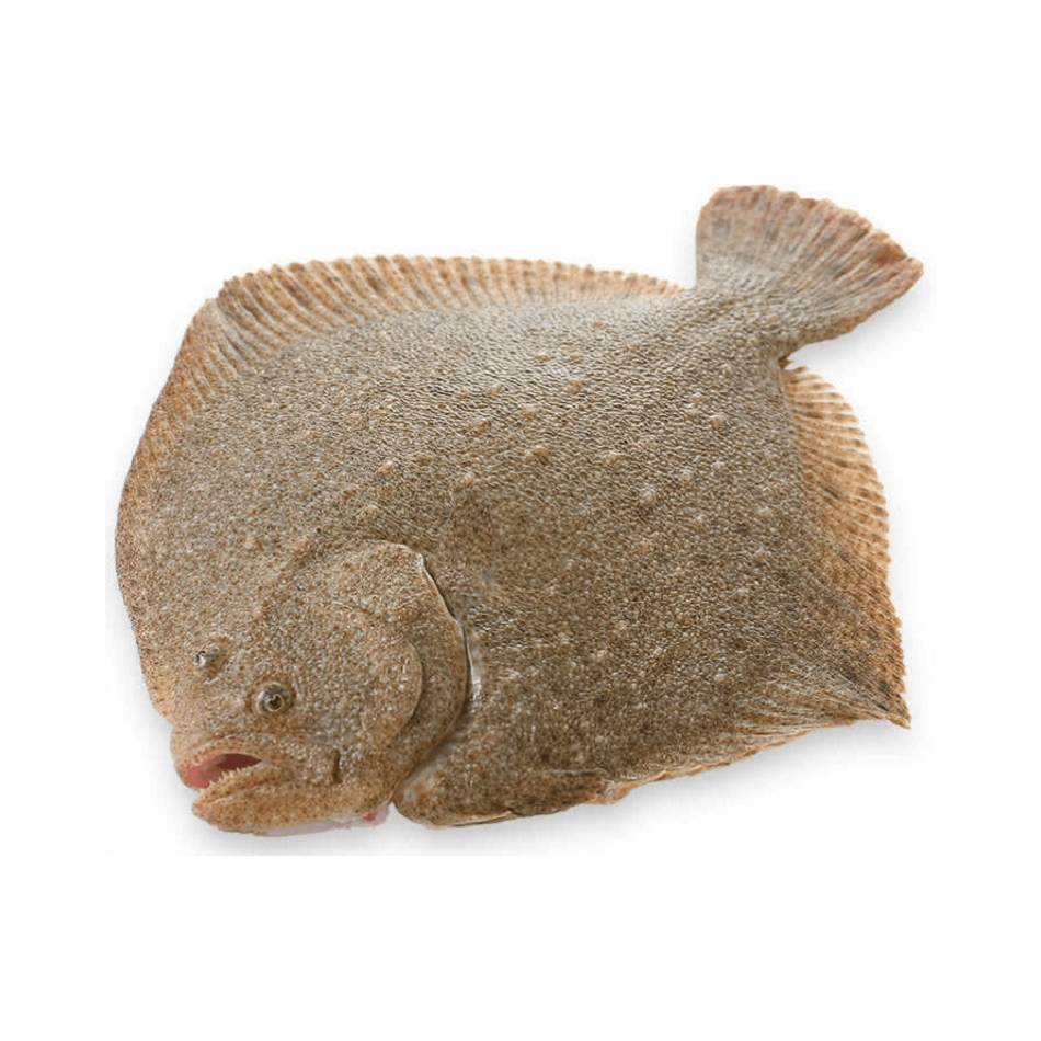 活多宝鱼 600g/条【称重补差】