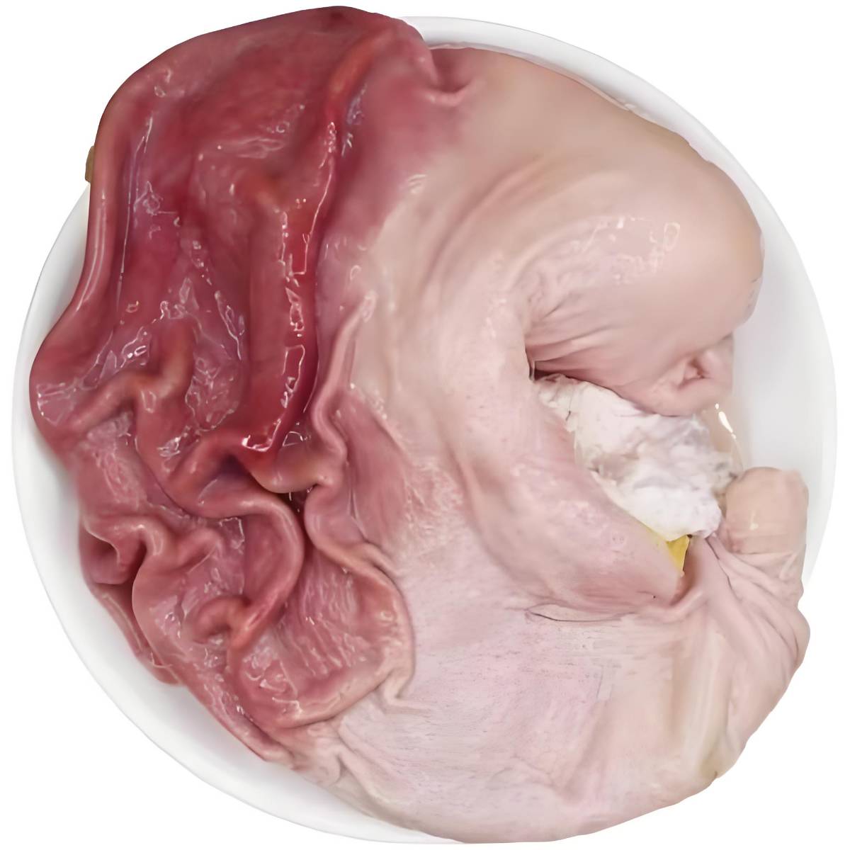 冰冻猪肚 1000g/个【称重补差价】