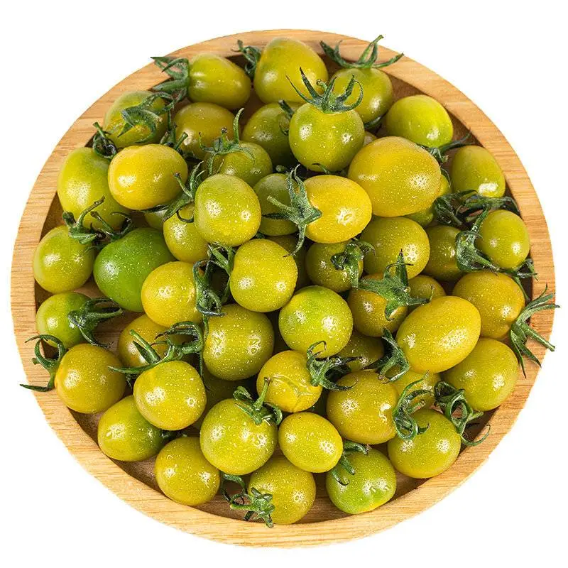 绿玲珑千禧    240g-250g/份