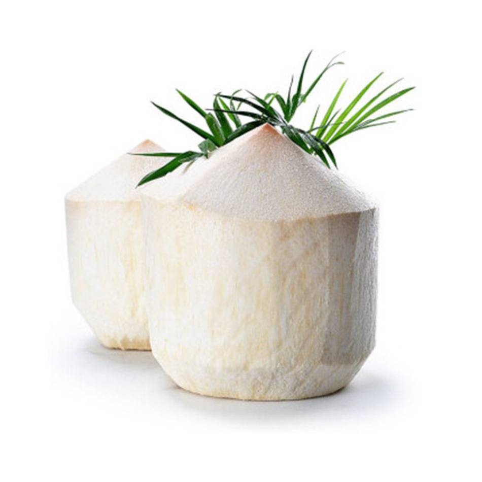 椰青（个） 1个/份