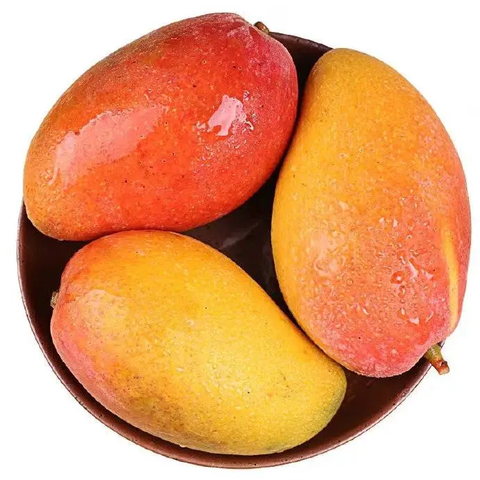 新鲜贵妃芒    600g/个