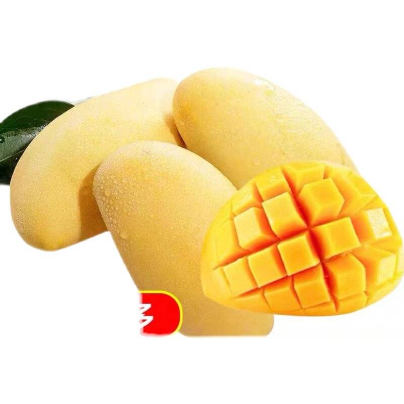 高乐蜜芒果   450g-500g/份