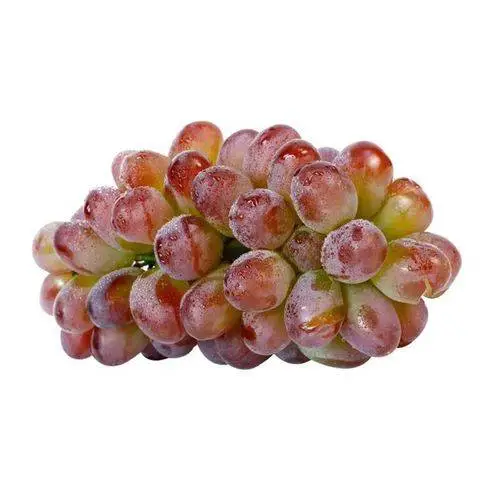 茉莉香葡萄无籽脆甜 450g-500g/份