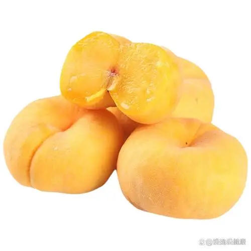 黄金蟠桃 450g-500g/份
