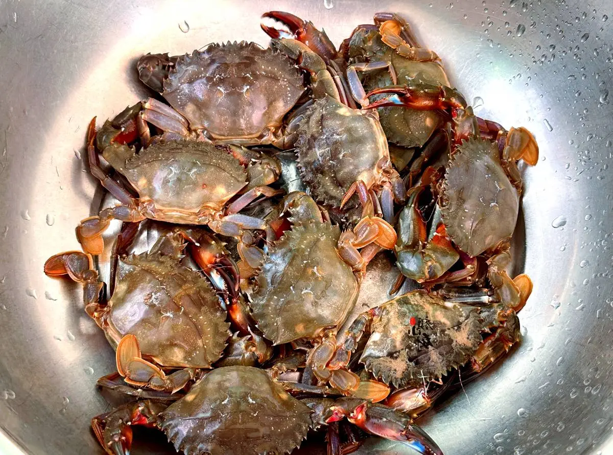 鲜活石蟹 450g-500g/份